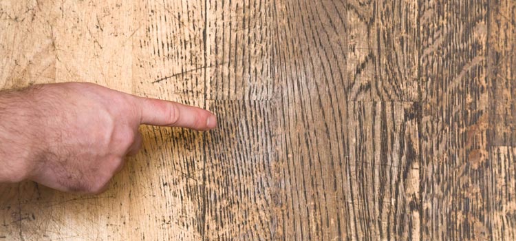 Wood Door Scratch Repair in Whittier